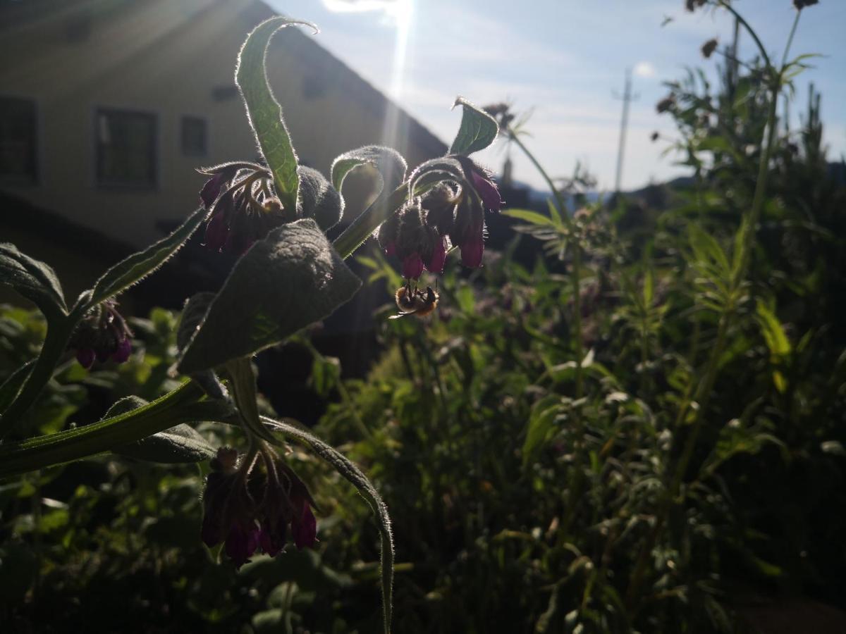 Appartamento Jungholz Erlebnis Esterno foto