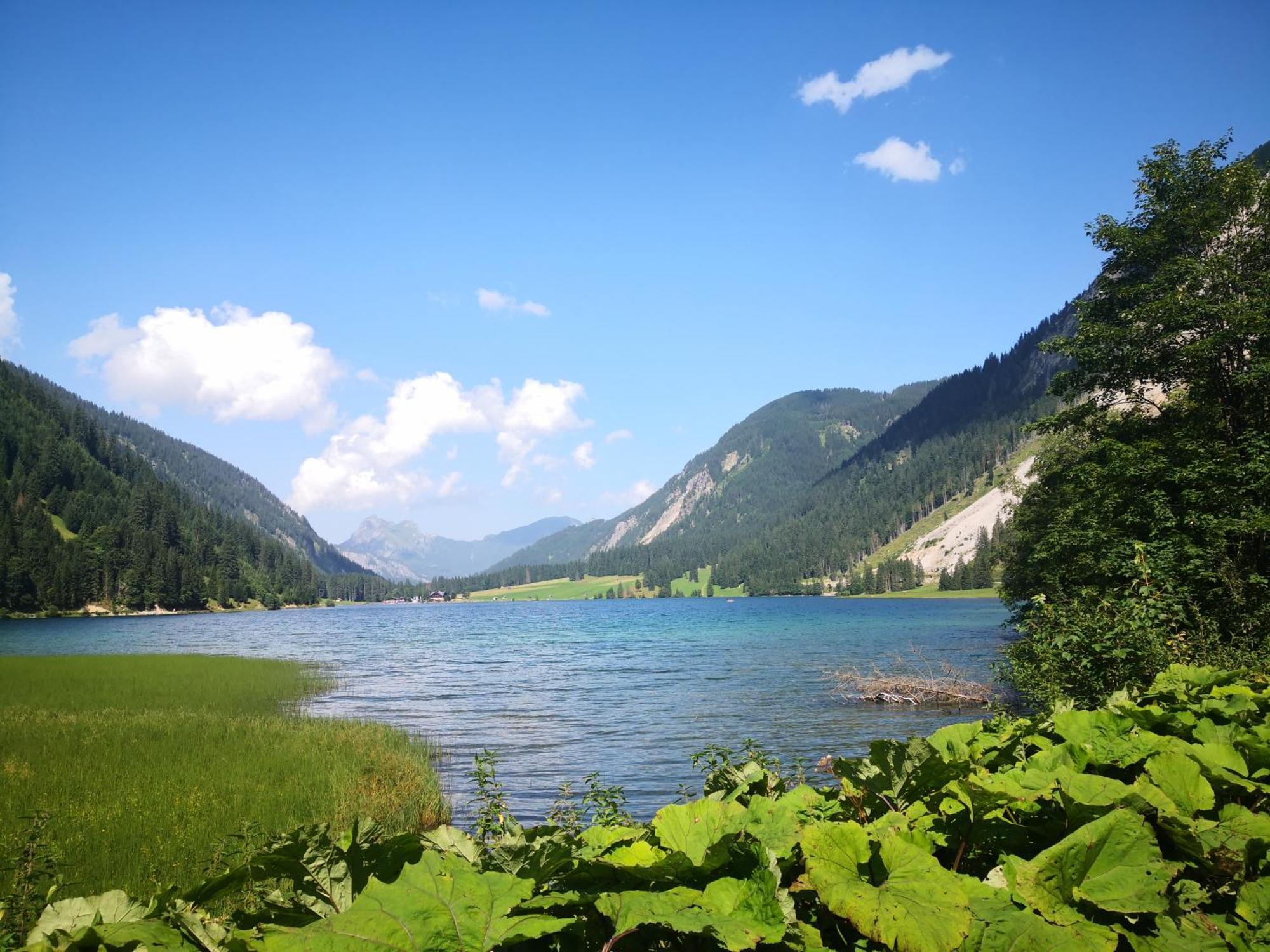 Appartamento Jungholz Erlebnis Esterno foto