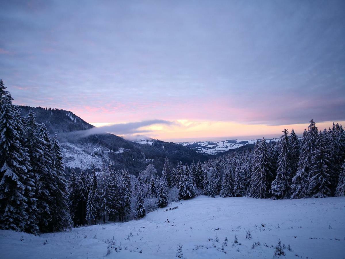 Appartamento Jungholz Erlebnis Esterno foto